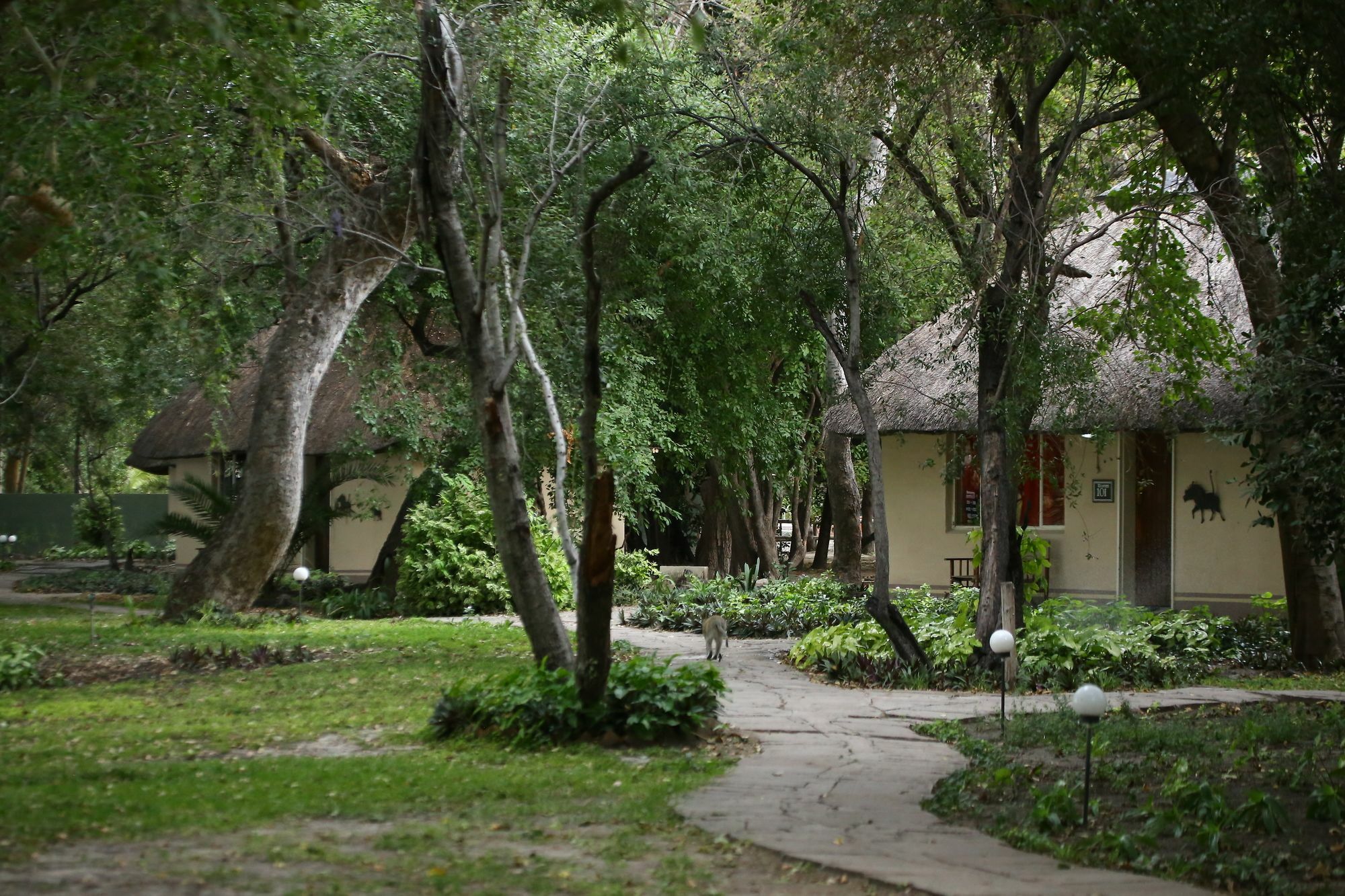 Island Safari Lodge Μαούν Εξωτερικό φωτογραφία