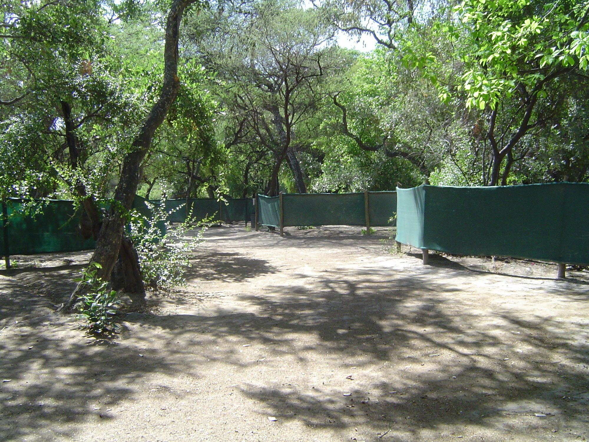 Island Safari Lodge Μαούν Εξωτερικό φωτογραφία